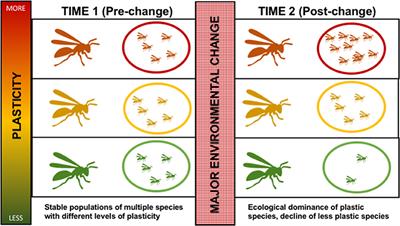 A Potential Role for Phenotypic Plasticity in Invasions and Declines of Social Insects